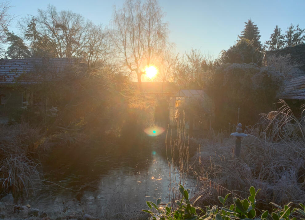 Holistic integration