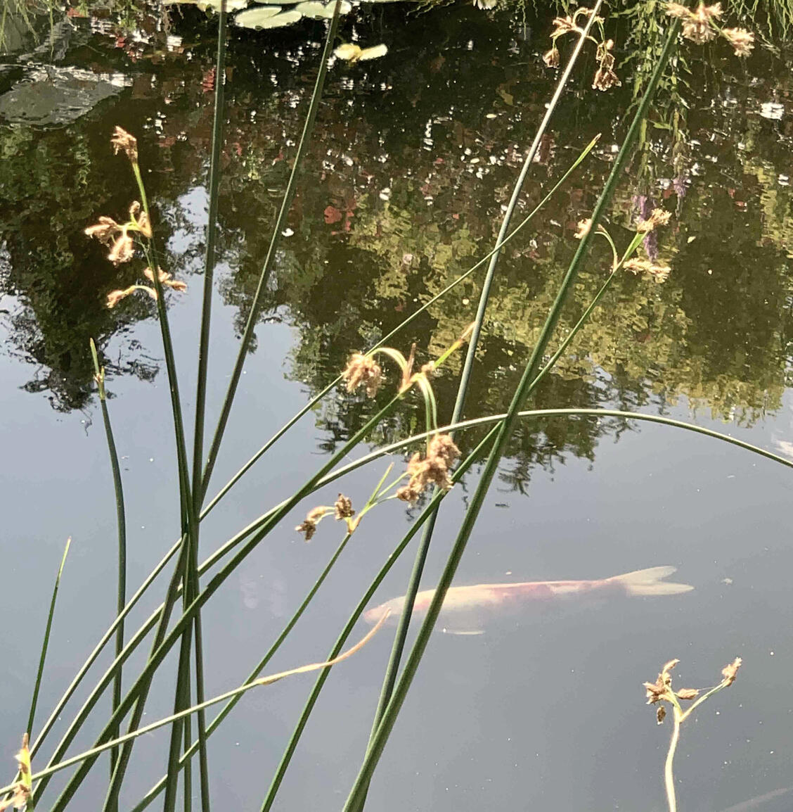 Atem &amp; Meditation