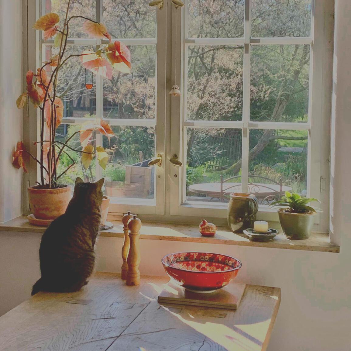 Ganzheitliche Retreats Ganzheitliche Retreats