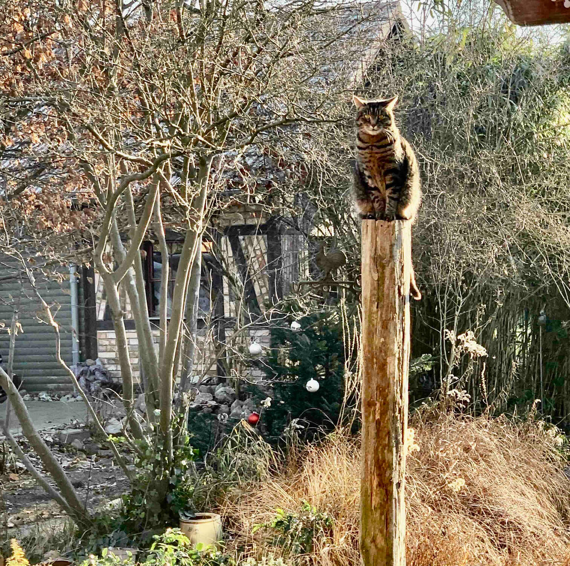 Atem &amp; Meditation